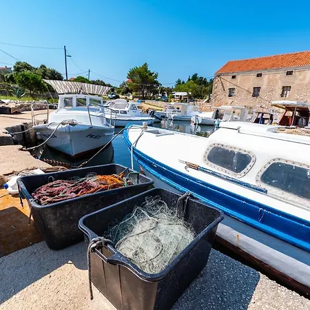 Penzion Caravan Near The Sea 6 Ugljan